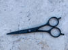 Picture of The Little Black Scissors