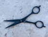 Picture of The Little Black Scissors