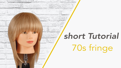 Picture of 70s fringe