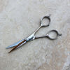 Picture of The Little Black Scissors