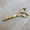 Picture of The Little Black Scissors