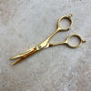 Picture of The Little Black Scissors