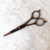 Picture of The Little Black Scissors