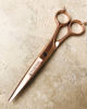 Picture of The Little Black Scissors